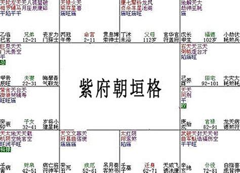 府相朝垣意思|府相朝垣格與腰金衣紫格